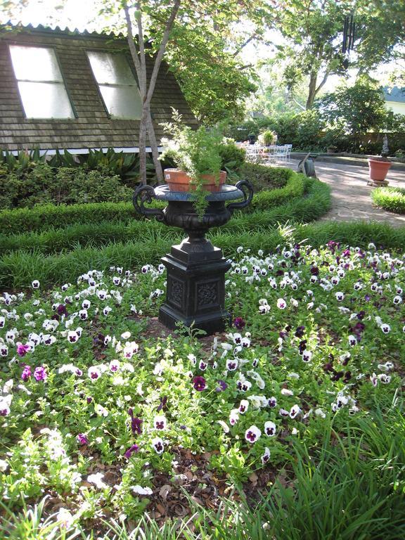 Belle Oaks Inn Gonzales Eksteriør billede